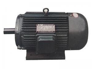 YD系列三相多速異步電動(dòng)機(jī)